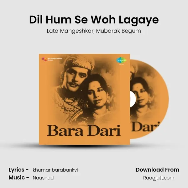 Dil Hum Se Woh Lagaye mp3 song