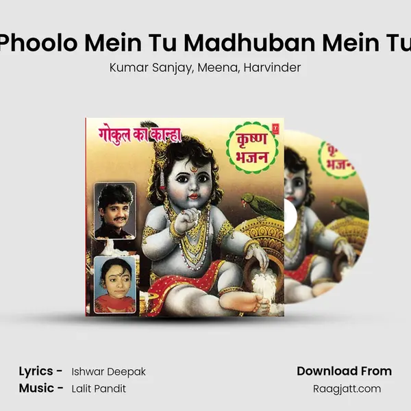 Phoolo Mein Tu Madhuban Mein Tu mp3 song