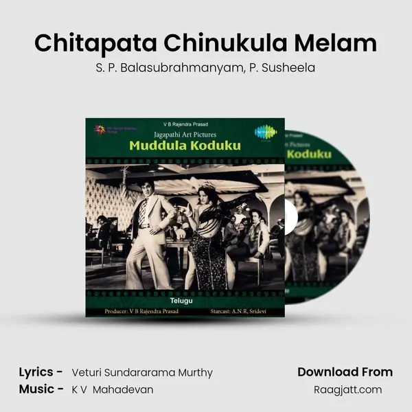 Chitapata Chinukula Melam - S. P. Balasubrahmanyam album cover 