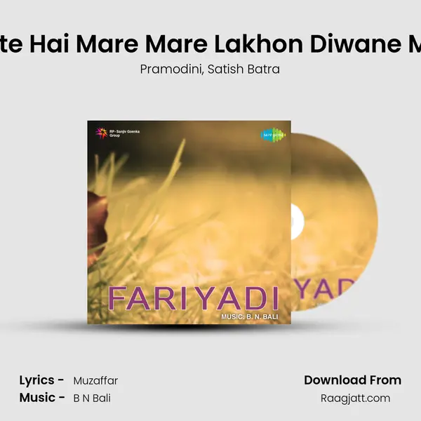 Phirte Hai Mare Mare Lakhon Diwane Mere mp3 song