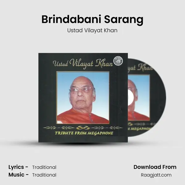 Brindabani Sarang - Ustad Vilayat Khan album cover 