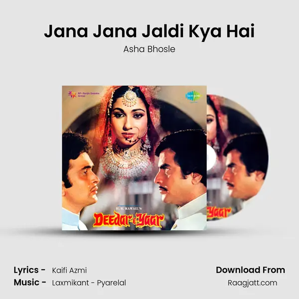 Jana Jana Jaldi Kya Hai - Asha Bhosle album cover 