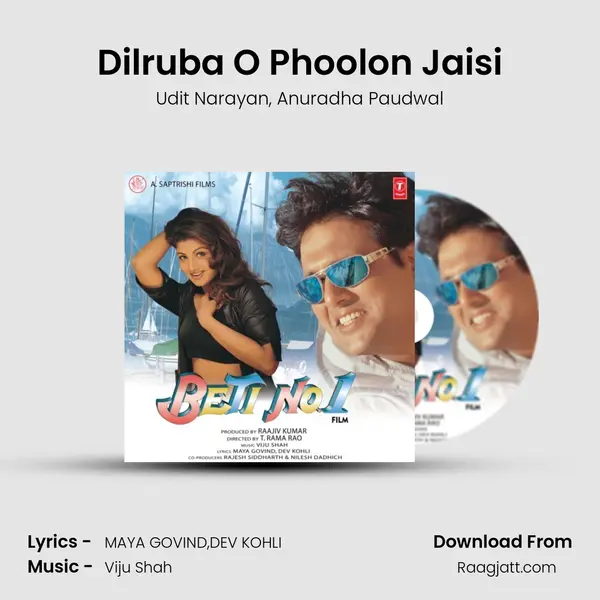 Dilruba O Phoolon Jaisi - Udit Narayan album cover 