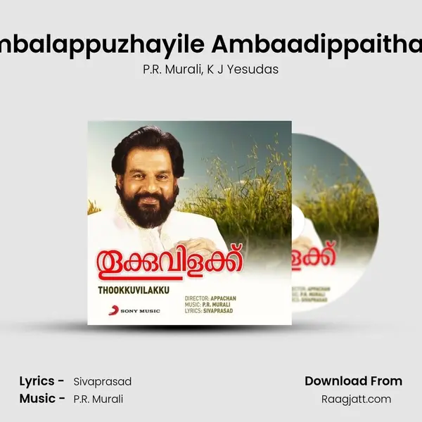 Ambalappuzhayile Ambaadippaithale (Version, 1) - P.R. Murali album cover 