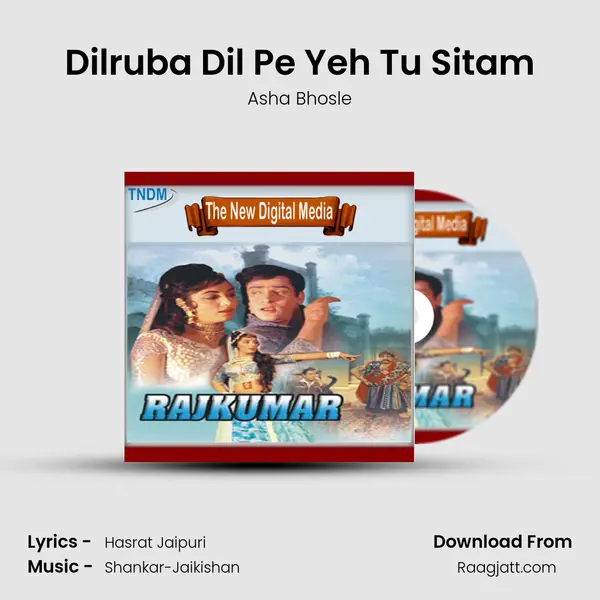 Dilruba Dil Pe Yeh Tu Sitam - Asha Bhosle album cover 