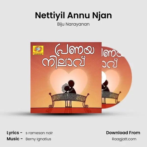 Nettiyil Annu Njan mp3 song