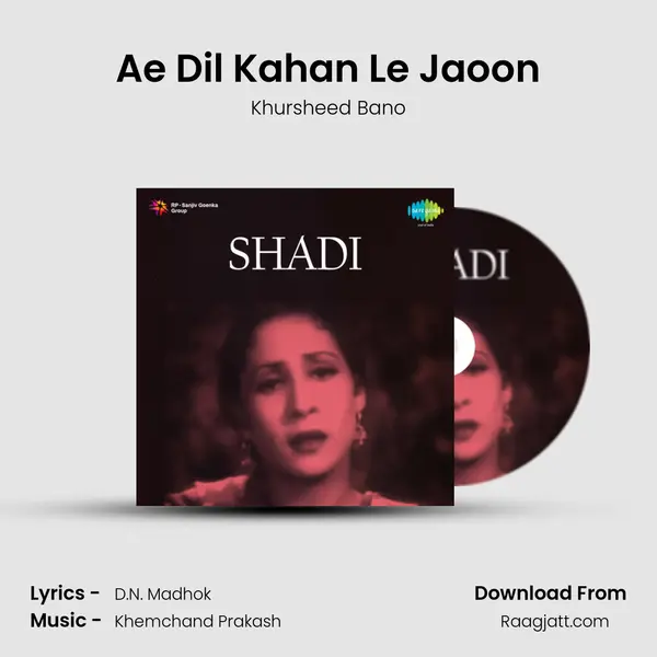 Ae Dil Kahan Le Jaoon mp3 song