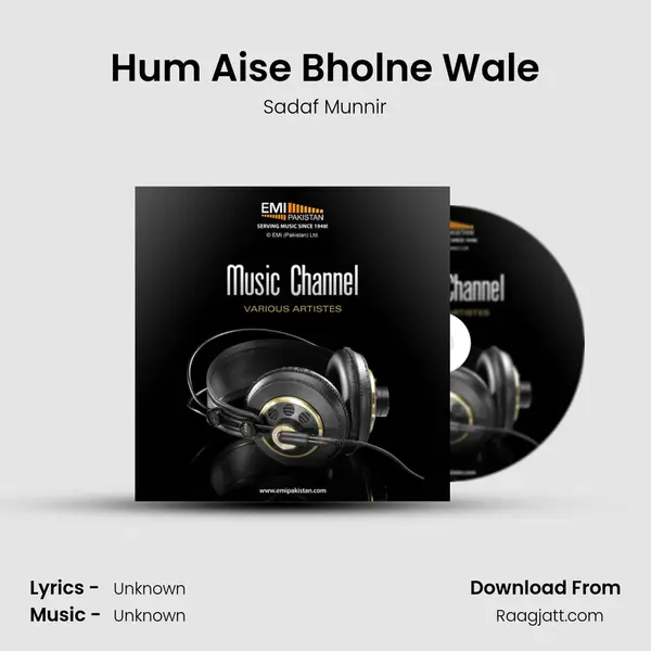 Hum Aise Bholne Wale mp3 song