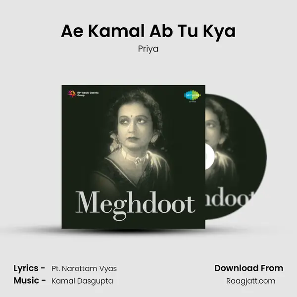 Ae Kamal Ab Tu Kya - Priya album cover 