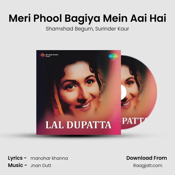 Meri Phool Bagiya Mein Aai Hai mp3 song