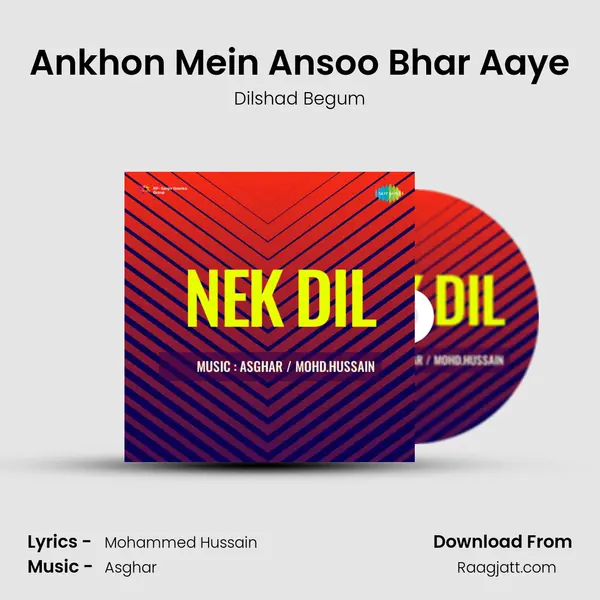 Ankhon Mein Ansoo Bhar Aaye - Dilshad Begum album cover 