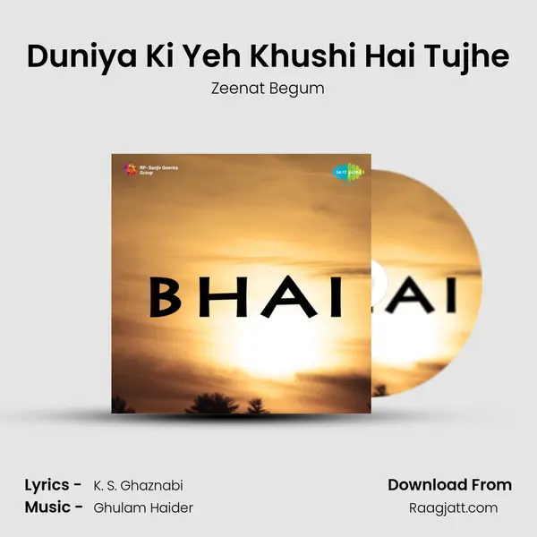 Duniya Ki Yeh Khushi Hai Tujhe - Zeenat Begum album cover 