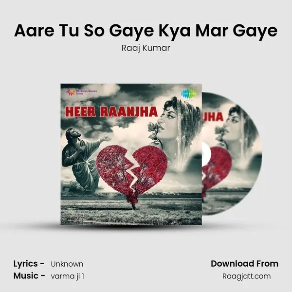 Aare Tu So Gaye Kya Mar Gaye - Raaj Kumar album cover 