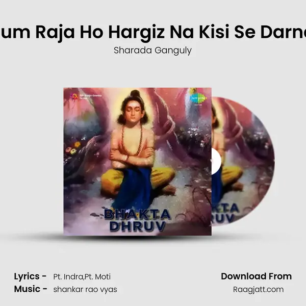 Tum Raja Ho Hargiz Na Kisi Se Darna mp3 song