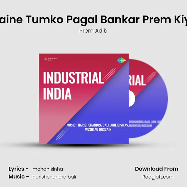 Maine Tumko Pagal Bankar Prem Kiya - Prem Adib album cover 