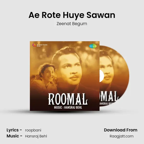 Ae Rote Huye Sawan - Zeenat Begum album cover 