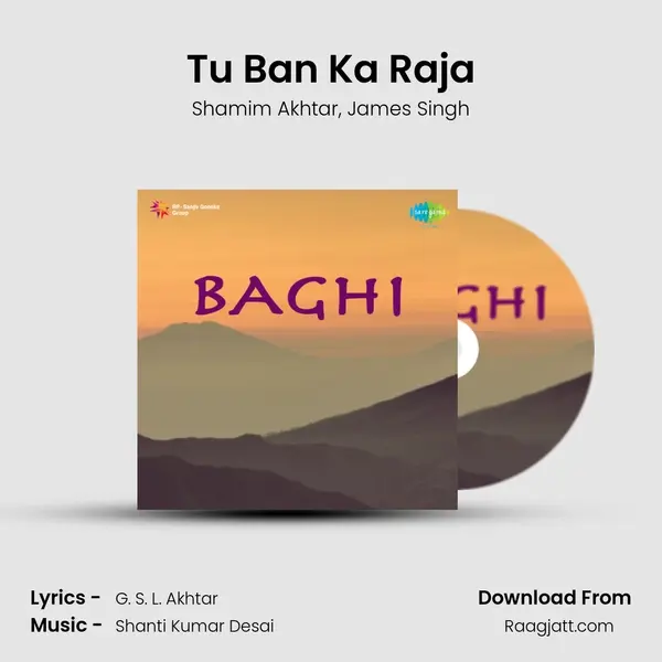 Tu Ban Ka Raja - Shamim Akhtar album cover 