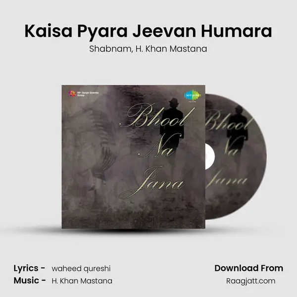 Kaisa Pyara Jeevan Humara - Shabnam album cover 