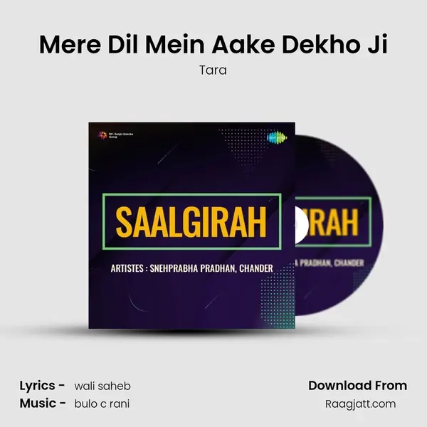 Mere Dil Mein Aake Dekho Ji - Tara album cover 