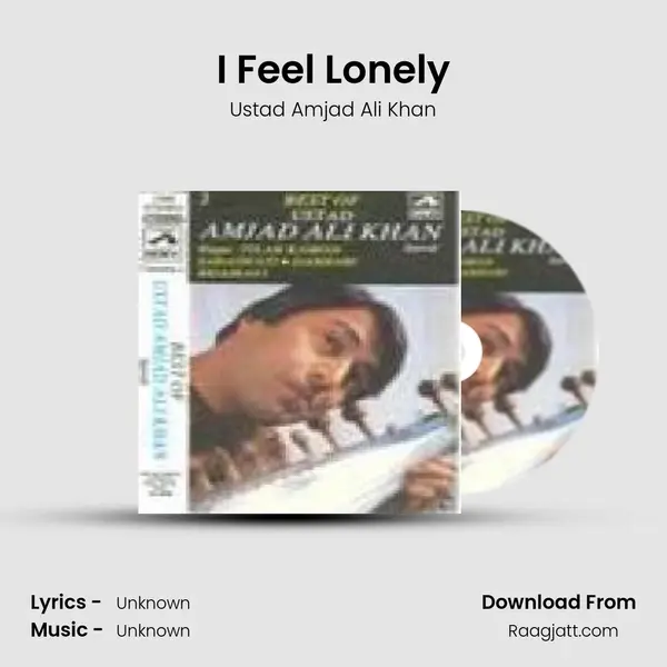 I Feel Lonely - Ustad Amjad Ali Khan album cover 