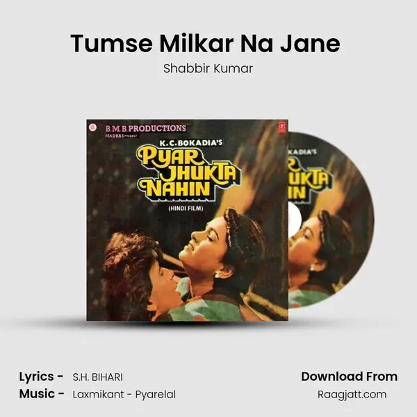 Tumse Milkar Na Jane (Male Version) - Shabbir Kumar album cover 