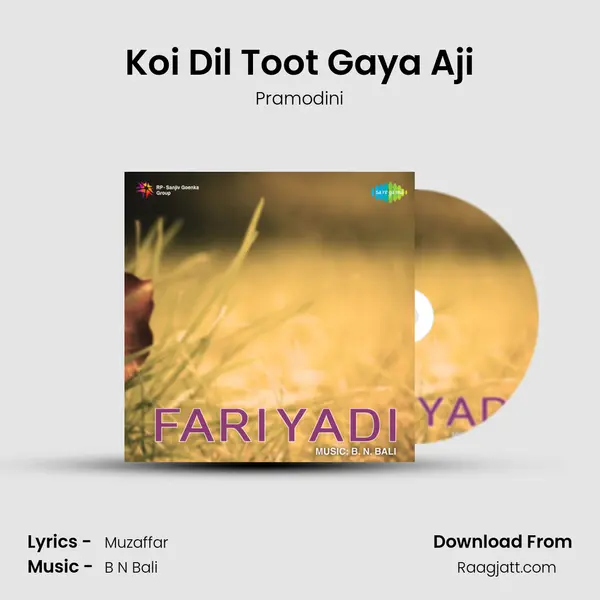 Koi Dil Toot Gaya Aji - Pramodini album cover 