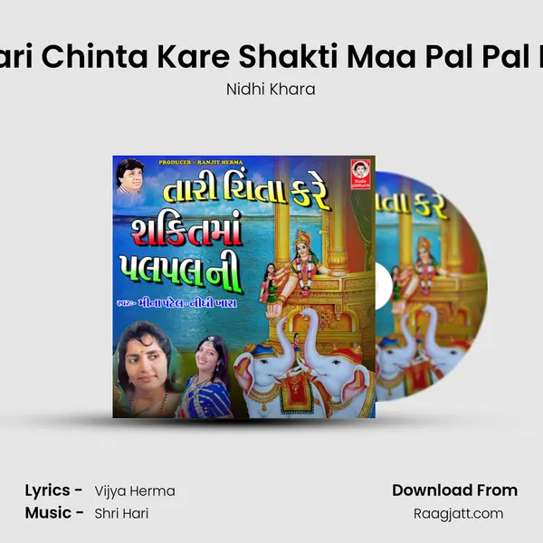 Tari Chinta Kare Shakti Maa Pal Pal Ni - Nidhi Khara album cover 