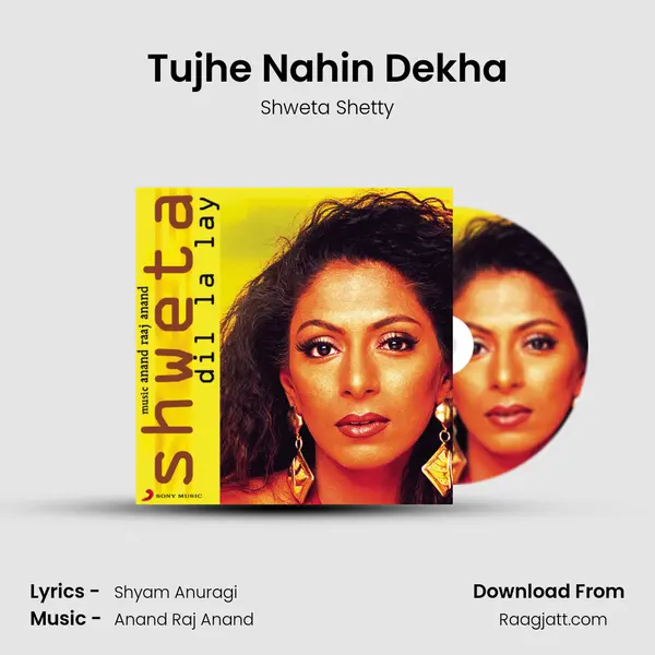 Tujhe Nahin Dekha mp3 song