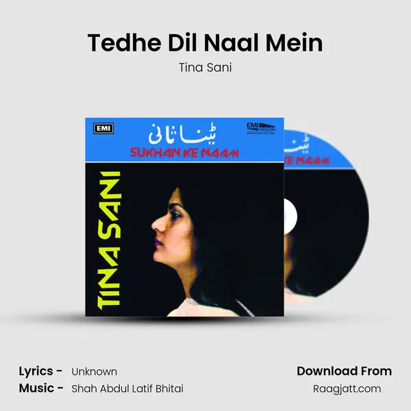 Tedhe Dil Naal Mein - Tina Sani album cover 