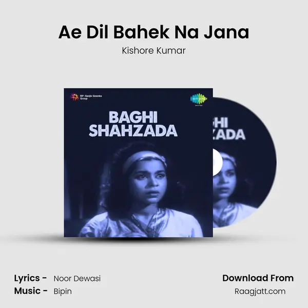 Ae Dil Bahek Na Jana mp3 song