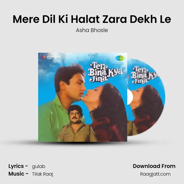 Mere Dil Ki Halat Zara Dekh Le mp3 song