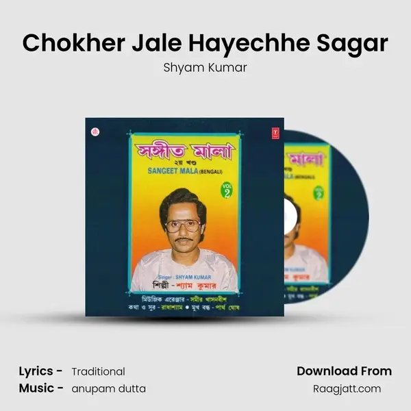 Chokher Jale Hayechhe Sagar mp3 song