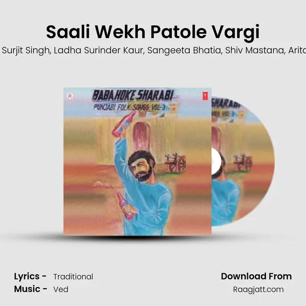 Saali Wekh Patole Vargi - Karam Singh Bhatti album cover 