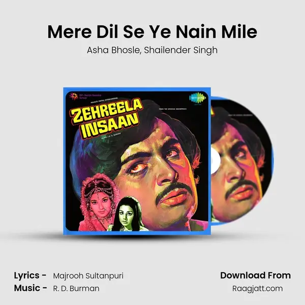 Mere Dil Se Ye Nain Mile mp3 song