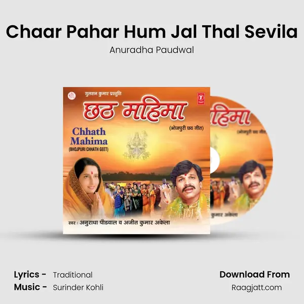 Chaar Pahar Hum Jal Thal Sevila - Anuradha Paudwal album cover 