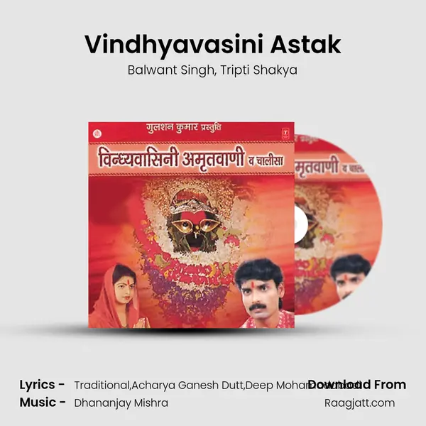 Vindhyavasini Astak - Balwant Singh album cover 