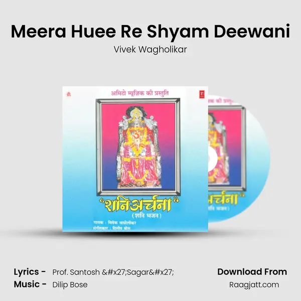 Meera Huee Re Shyam Deewani - Vivek Wagholikar album cover 