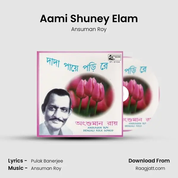 Aami Shuney Elam - Ansuman Roy album cover 