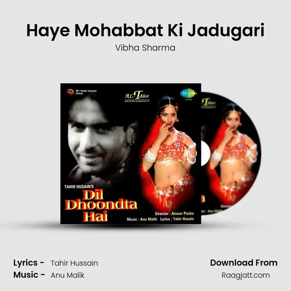 Haye Mohabbat Ki Jadugari - Vibha Sharma album cover 