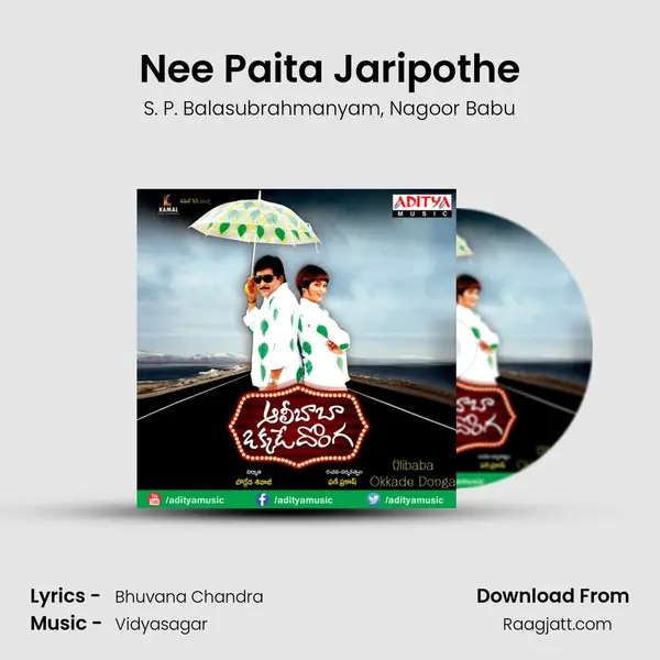 Nee Paita Jaripothe - S. P. Balasubrahmanyam album cover 