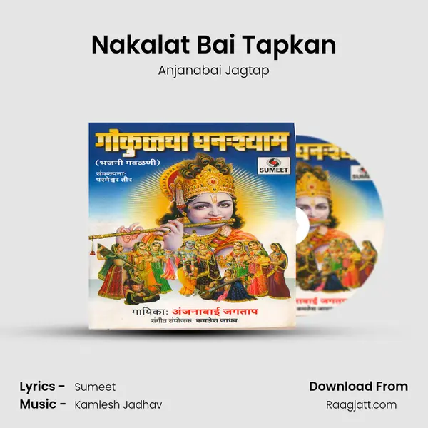 Nakalat Bai Tapkan - Anjanabai Jagtap album cover 