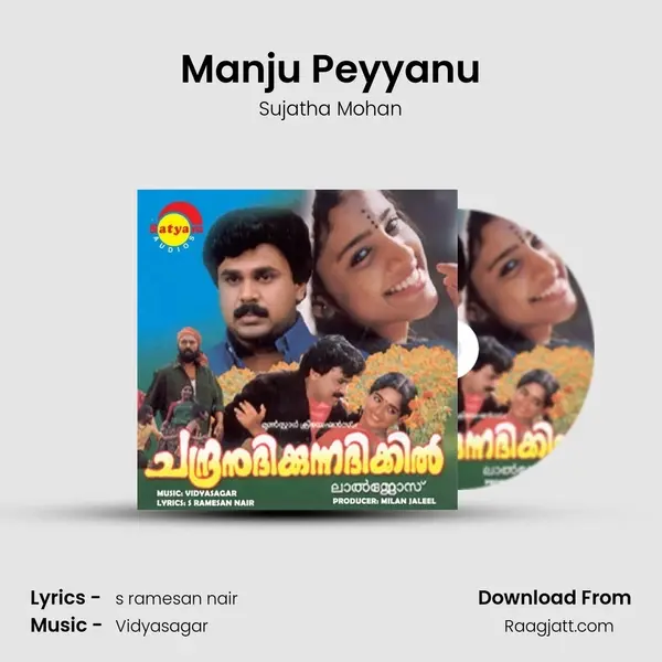 Manju Peyyanu - Sujatha Mohan album cover 