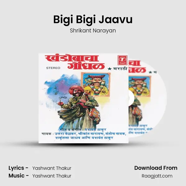 Bigi Bigi Jaavu - Shrikant Narayan album cover 