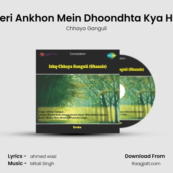 Meri Ankhon Mein Dhoondhta Kya Hai mp3 song