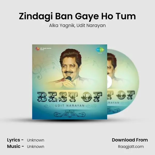 Zindagi Ban Gaye Ho Tum - Alka Yagnik mp3 song