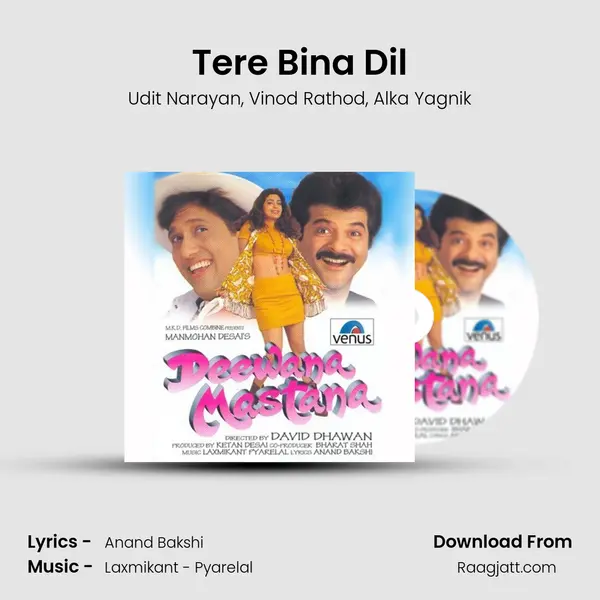 Tere Bina Dil - Udit Narayan mp3 song