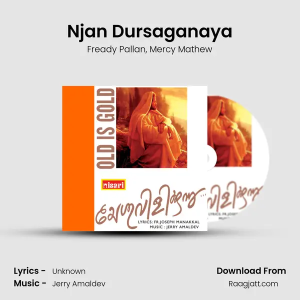 Njan Dursaganaya mp3 song