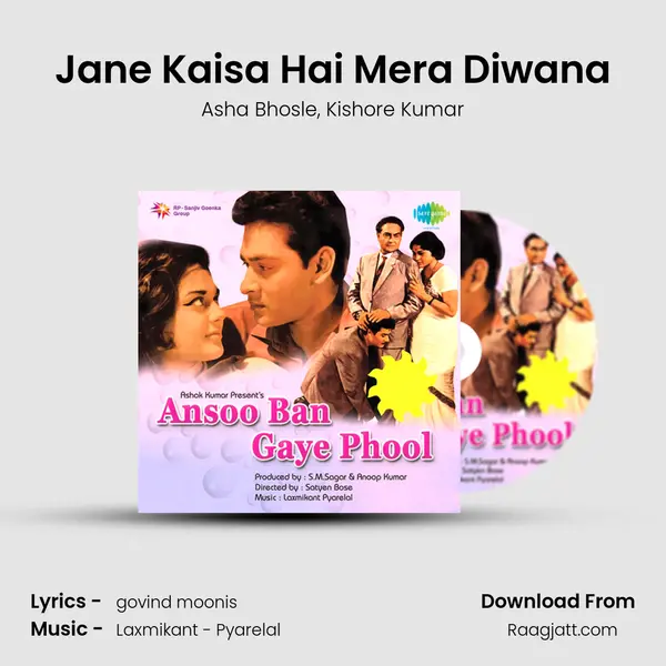 Jane Kaisa Hai Mera Diwana - Asha Bhosle album cover 