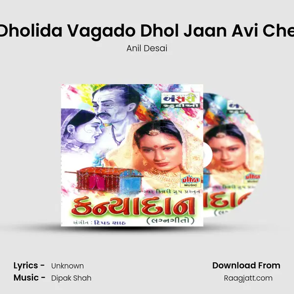 Dholida Vagado Dhol Jaan Avi Che - Anil Desai album cover 