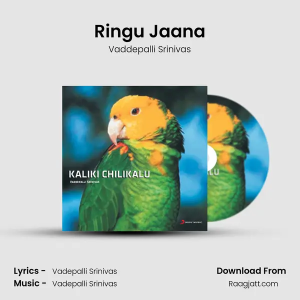 Ringu Jaana mp3 song